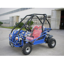 CVT Four Wheeler Kandi Buggy Go Kart for Kid (KD 49FM5)